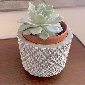 NEW Anthropologie gray/white ceramic Art Deco plant succulent pot